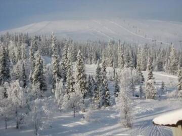 Фото номера Дом для отпуска Дома для отпуска Holiday Home Ylläs chalets-508 г. Юлляс 29